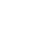Studi Michelangelo